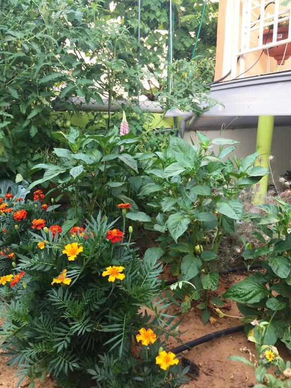 Friendly People'S Guest House Zadar Ngoại thất bức ảnh